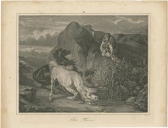 Original Antique Print of Lion Sneaking Up on Horses