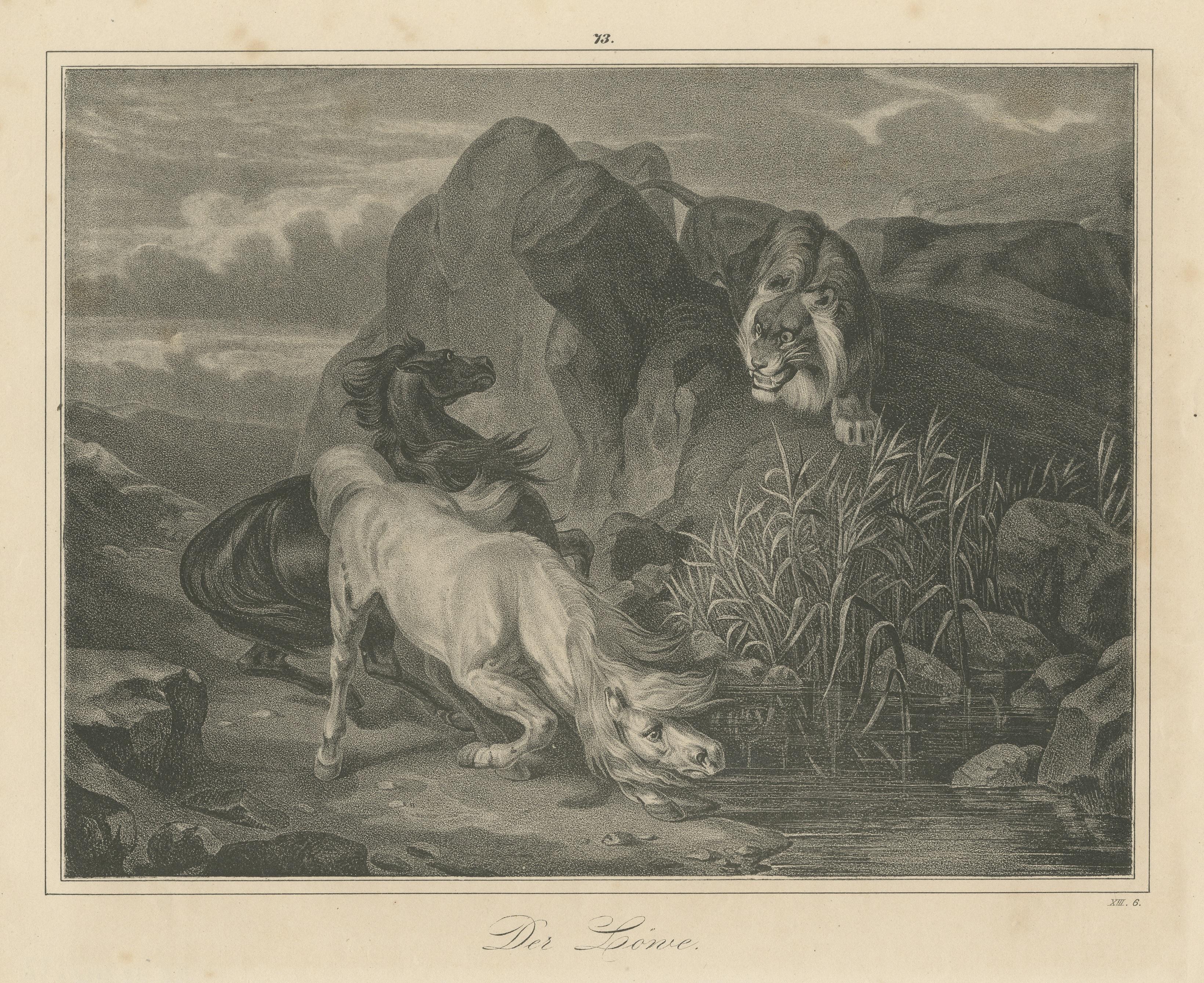 Original Antique Print of Lion Sneaking Up on Horses In Fair Condition For Sale In Langweer, NL