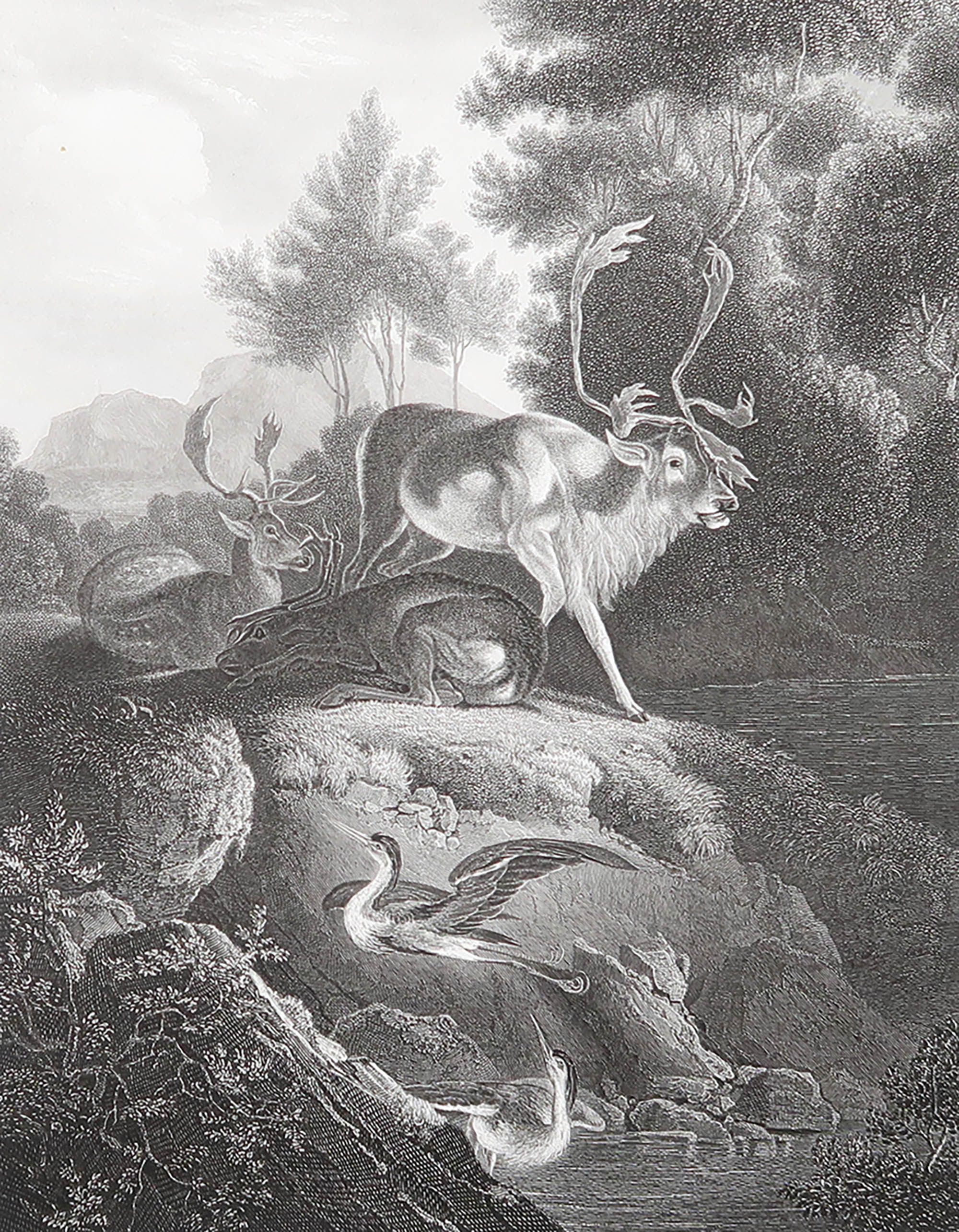 Gravure ancienne originale d'après Carl Ruthart " The Alarm ". C.1850