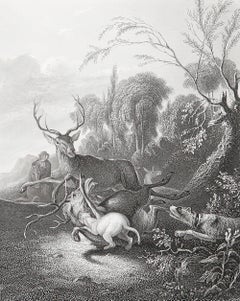 Original Antique Print After Carl Ruthart " The Stag Hunt ". C.1850