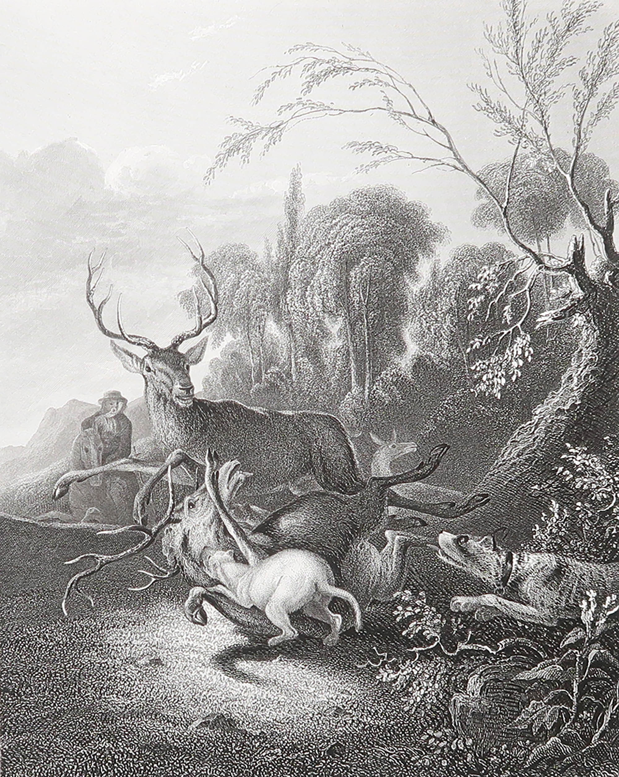 Gravure ancienne originale d'après Carl Ruthart " La chasse au cerf ". C.1850 en vente
