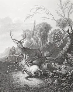 Original Antique Print After Carl Ruthart " The Stag Hunt ". C.1850
