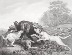 Original Antique Print After Frans Snyders " The Bear Hunt ". C.1850