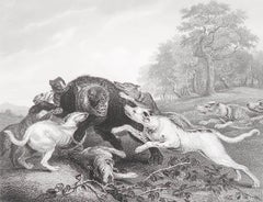 Original Antique Print After Frans Snyders " The Bear Hunt ". C.1850