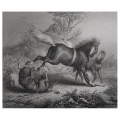 Original Antique Print After H. Leutemann, Reynard the Fox- The Mare And Wolf