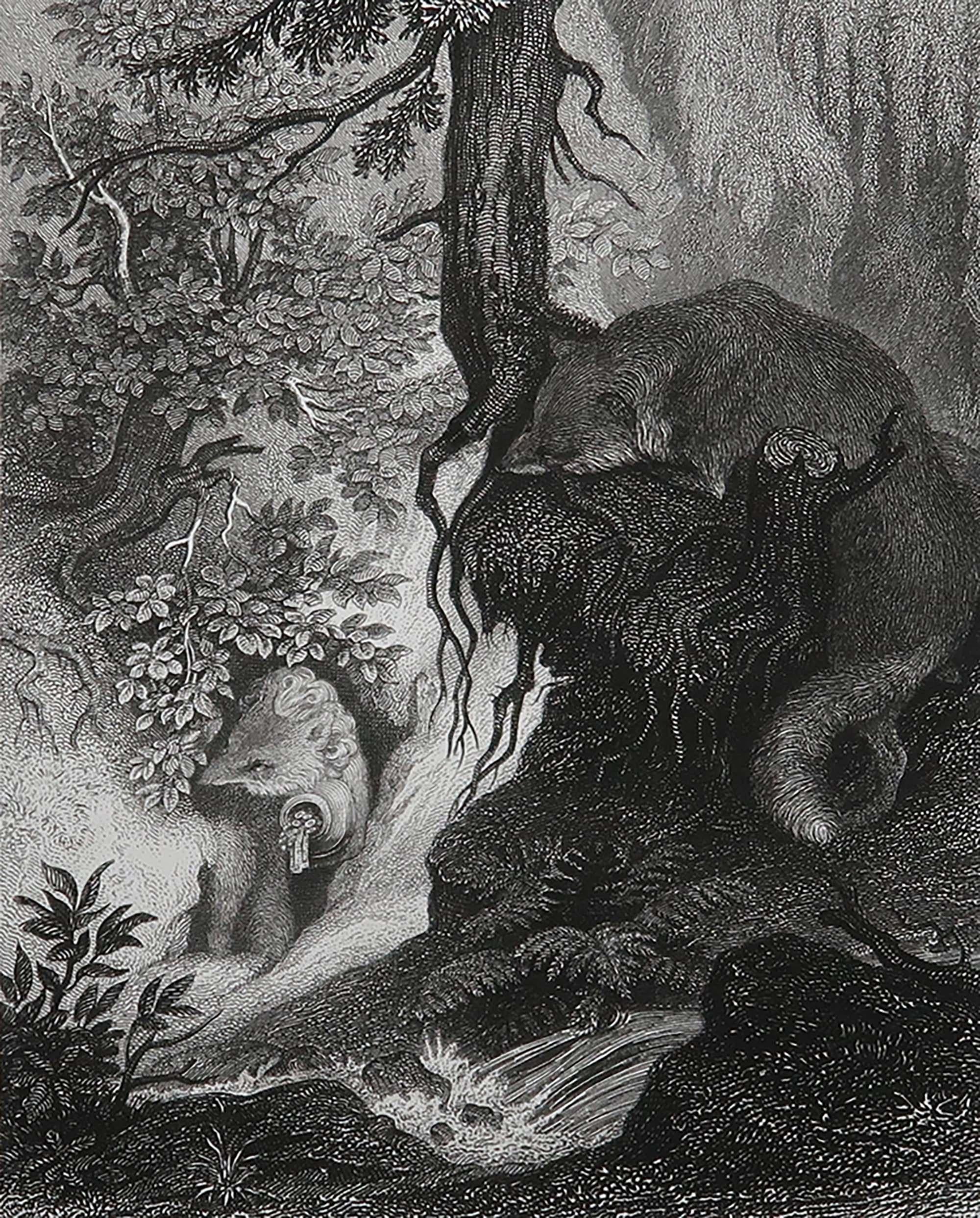 Belle image de Heinrich Leutemann

De la série Reynard Le Renard

Gravure sur acier fin

Publié par A.H. Payne C.C. 1850

Non encadré.

