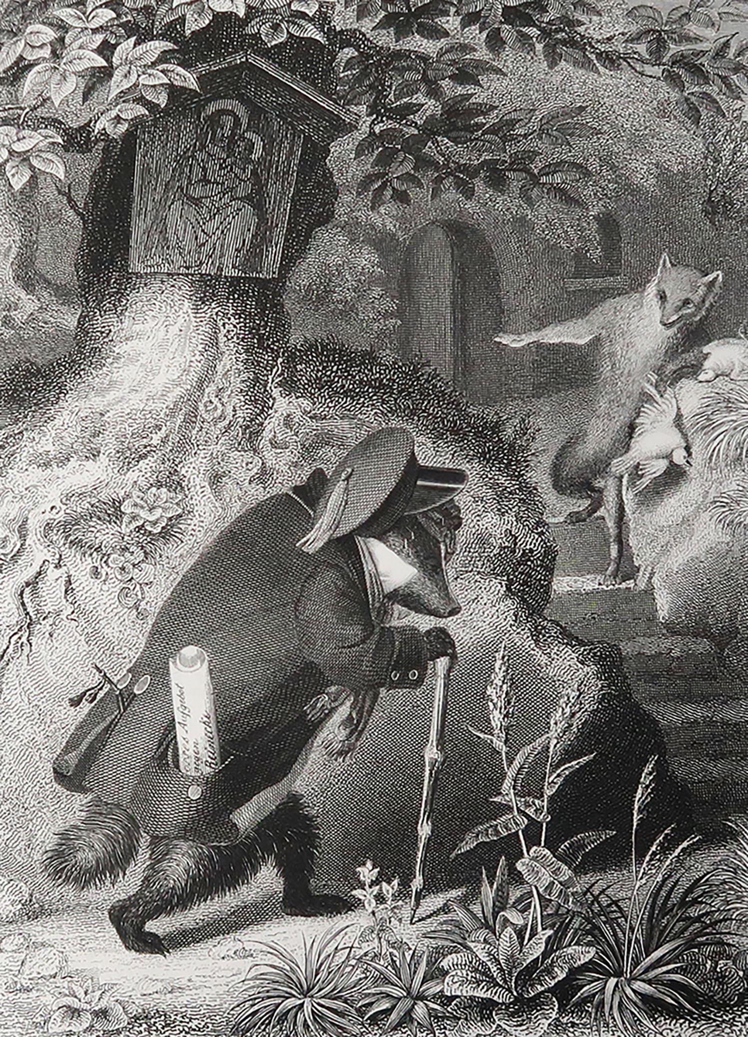 Great image by Heinrich Leutemann.

From the Reynard The Fox series.

Fine steel engraving.

Published by A.H. Payne C.1850

Unframed.

