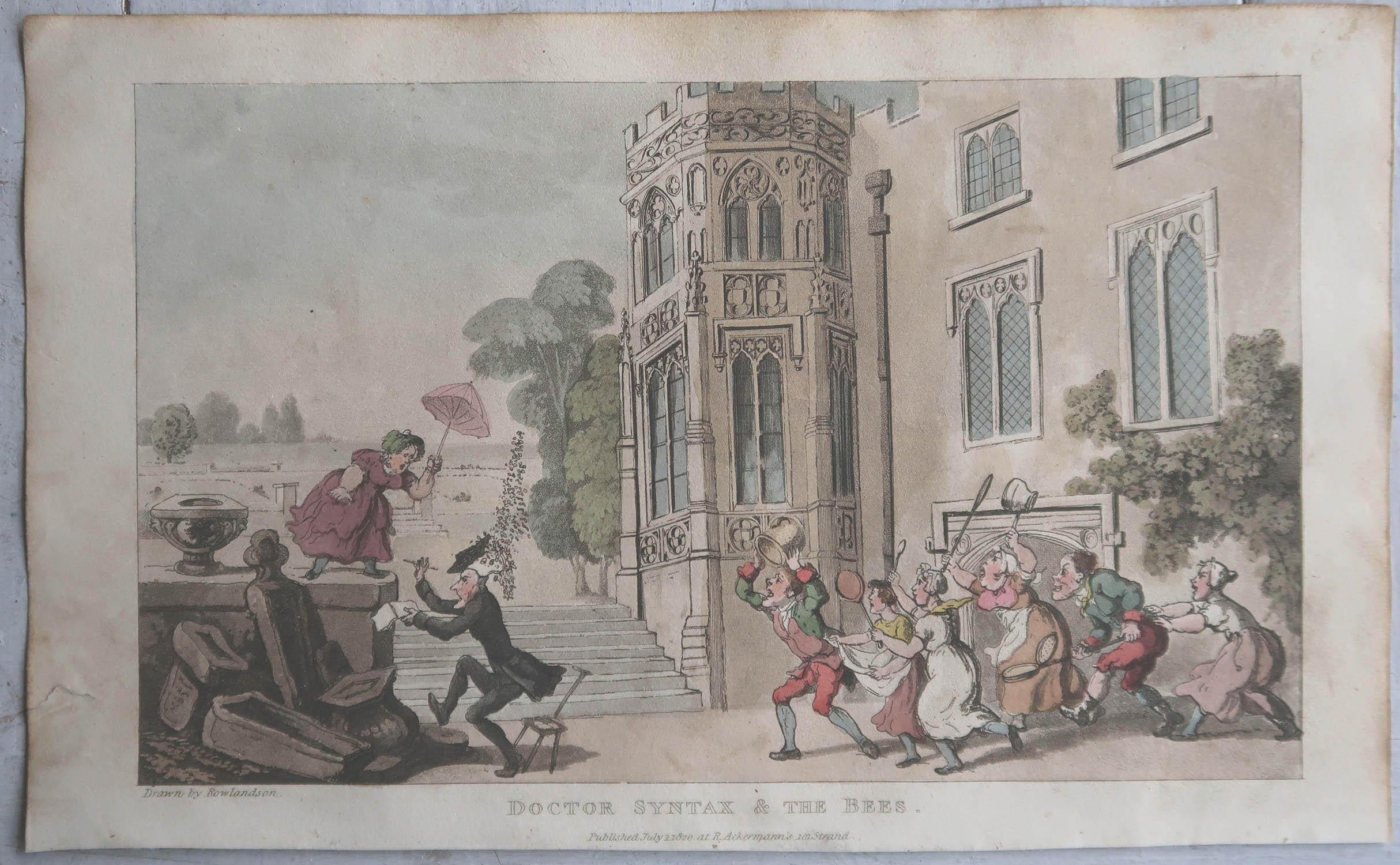 Georgian Original Antique Print After Thomas Rowlandson, Syntax & the Bees 1820 For Sale