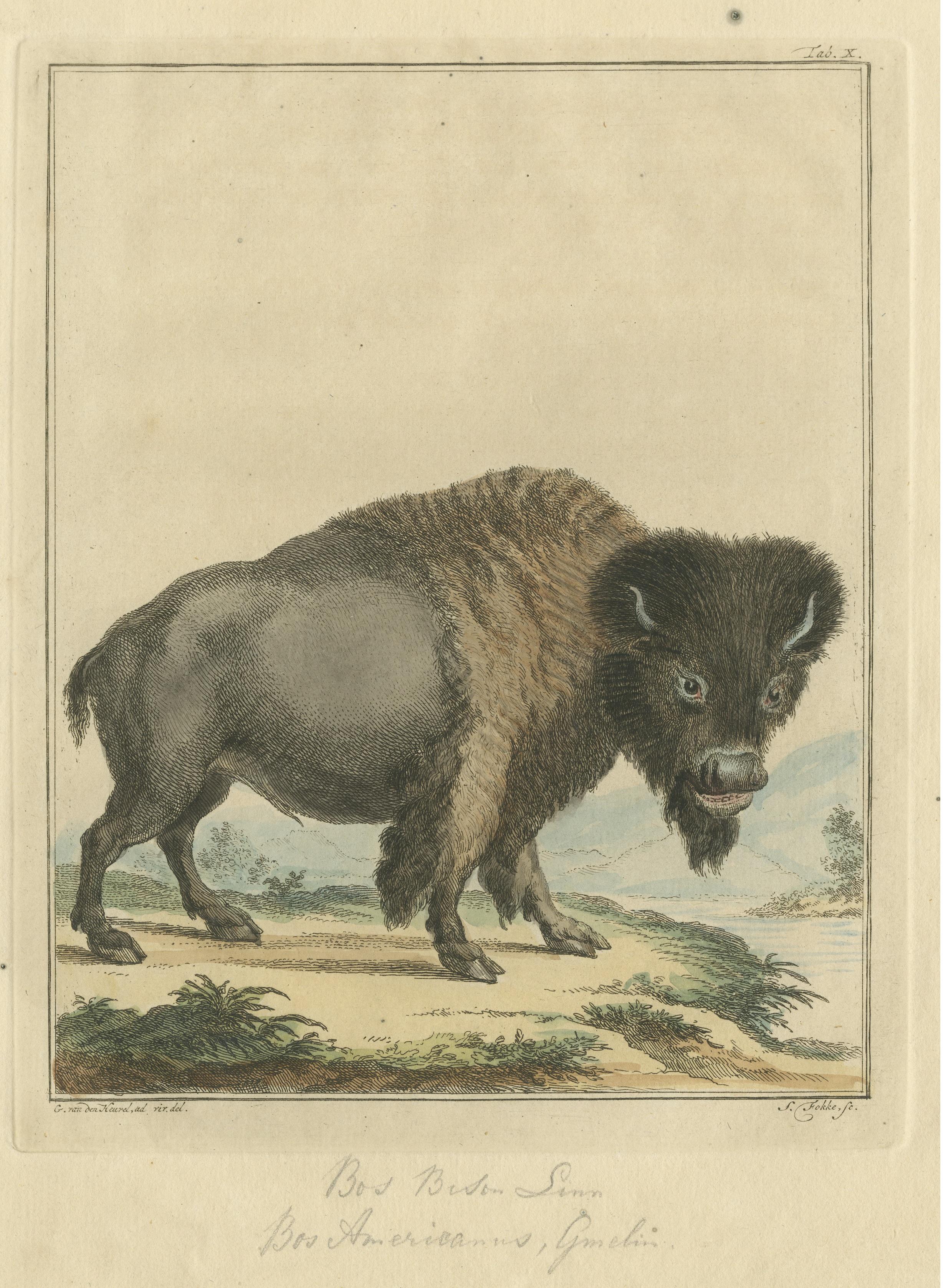antique bison