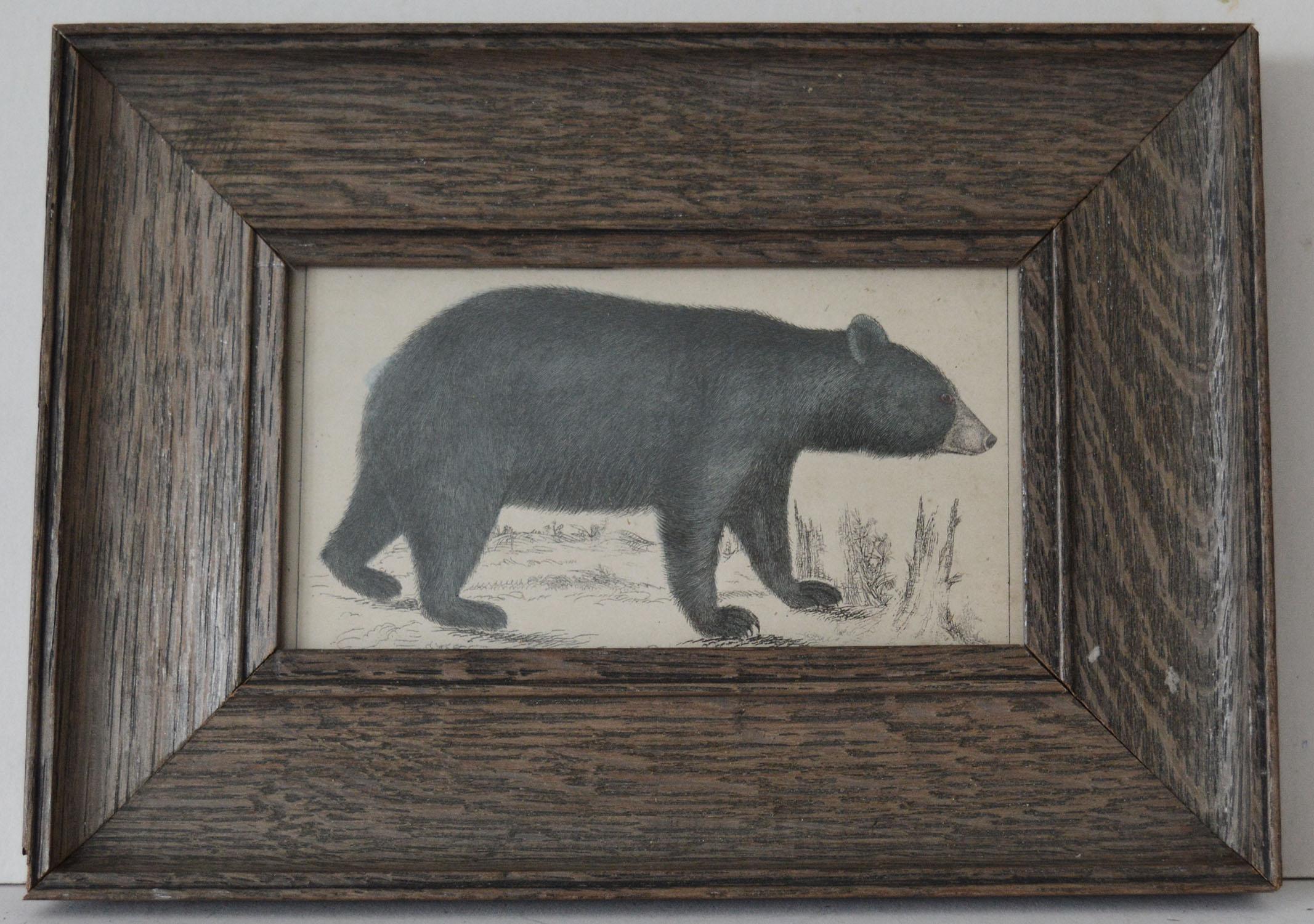 Great image of a black bear presented in an antique oak frame.

Lithograph after Cpt. Brown with original hand color.

Published 1847.

The measurement below is the frame size


 

 