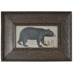 Original Antique Print of a Black Bear, 1847