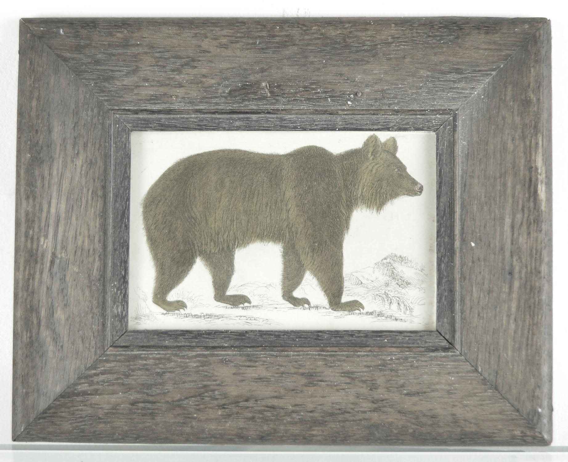 Great image of a brown bear presented in an antique distressed oak frame.

Original hand colored lithograph after Cpt. Brown.

Published by Fullerton, 1847.

 