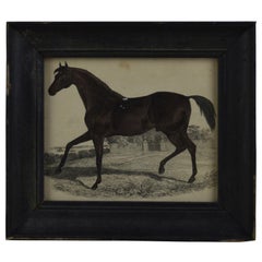 Original Antique Print of a Chestnut Horse, 1847