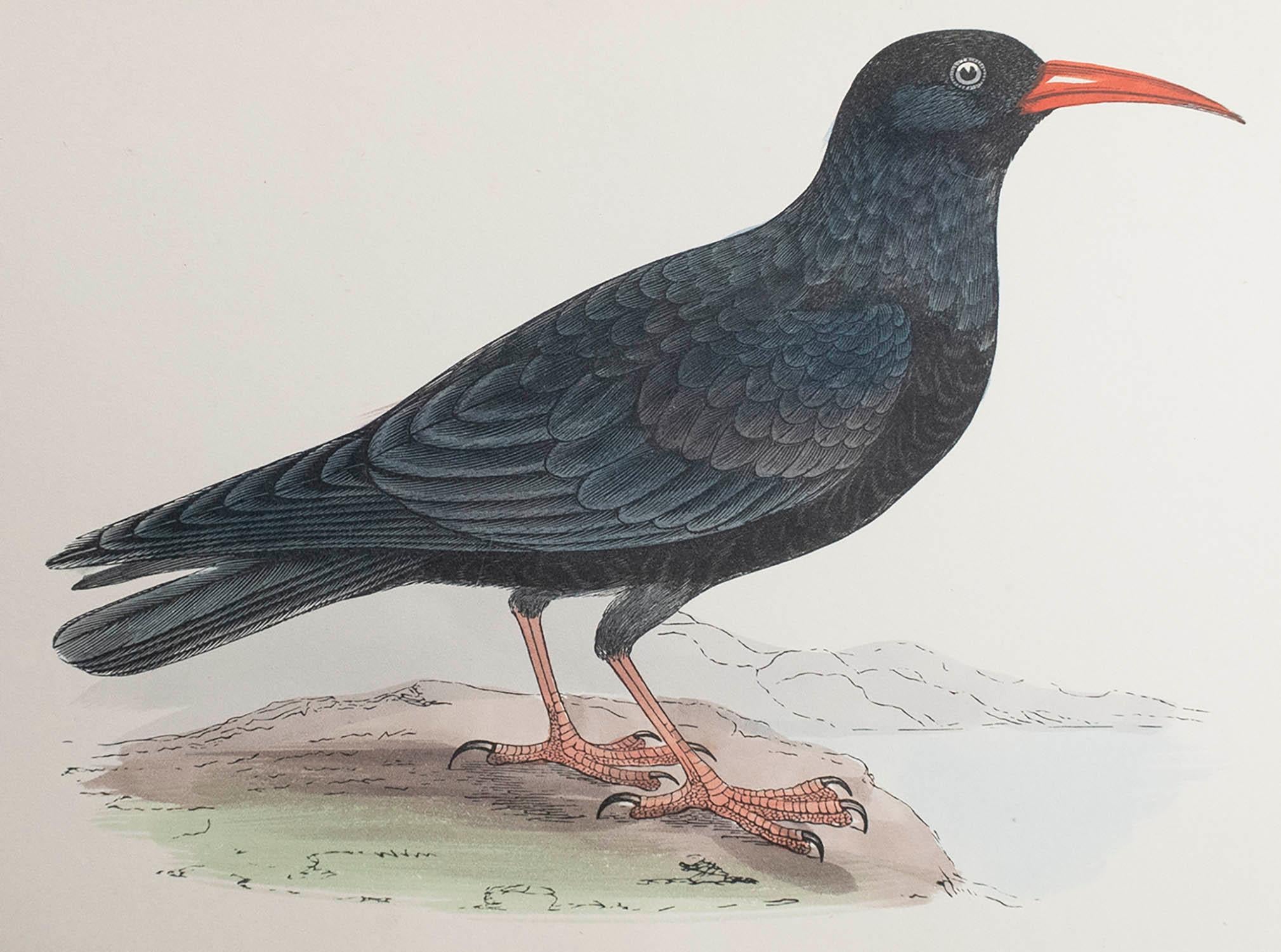 Tolles Bild einer Dohle

Ungerahmt. So haben Sie die Möglichkeit, Ihre eigene Auswahl an Rahmen zu treffen.

Lithographie nach Alexander Francis Lydon.

Original Farbe

Veröffentlicht, um 1880

Das Maß ist die Papiergröße

Kostenloser Versand.




