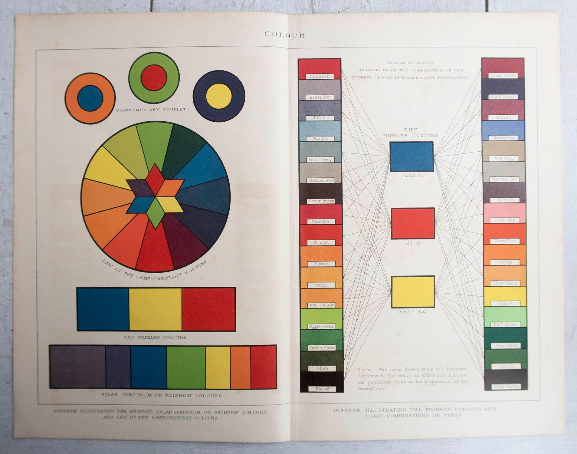 English Original Antique Print of A Colour Chart . C.1900 For Sale
