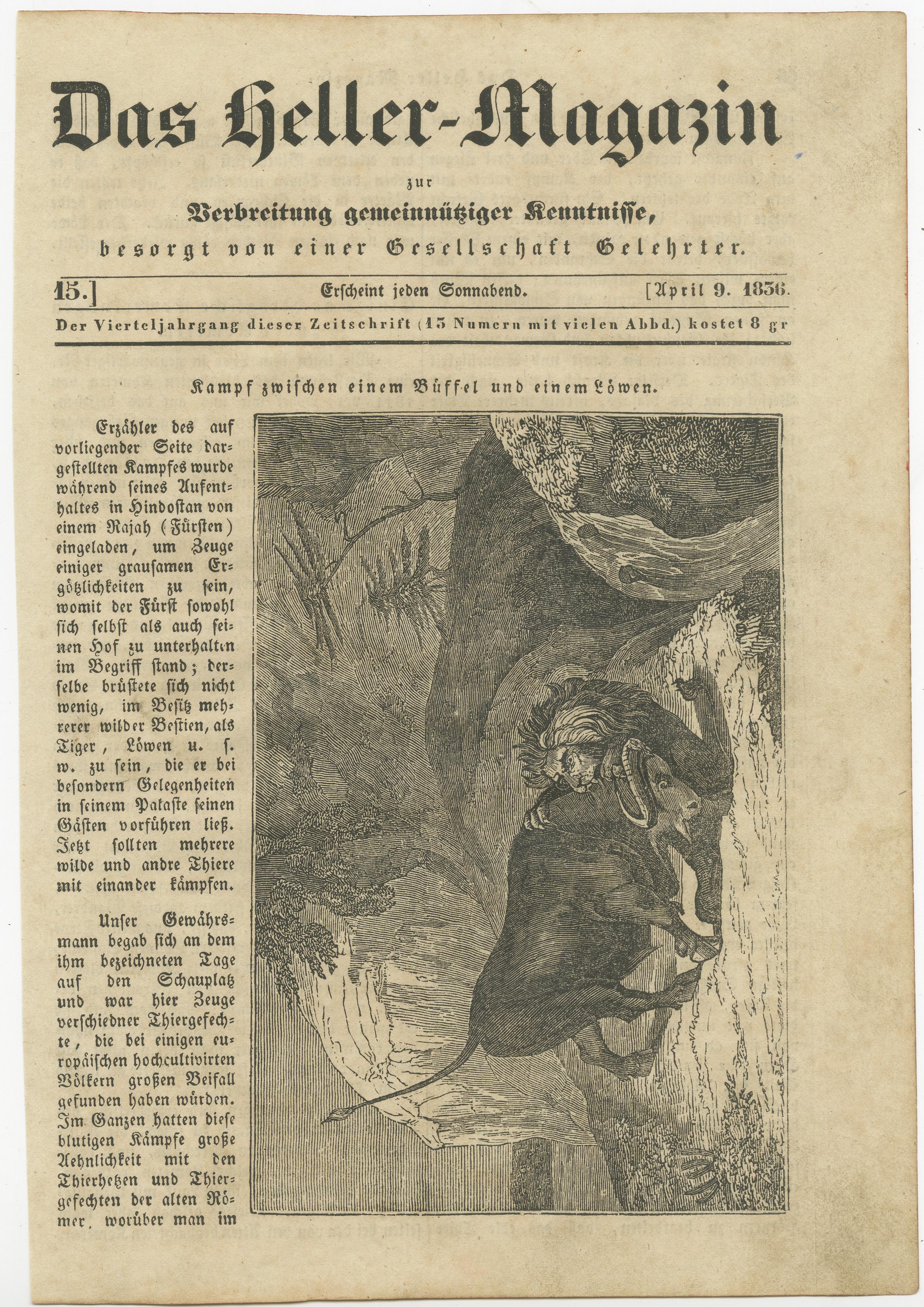 Antique print titled 'Kamp zwischen einem Büffel und einem Löwen'. Old print of a fight between a buffalo and a lion. This print originates from Das heller-Magazin'. Published april 9. 1836.