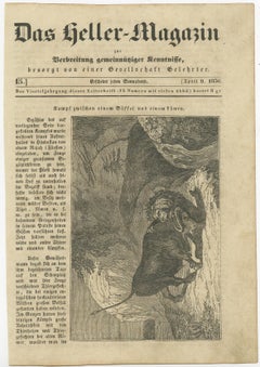 Original Antique German Print of Fight Between Buffalo and Lion
