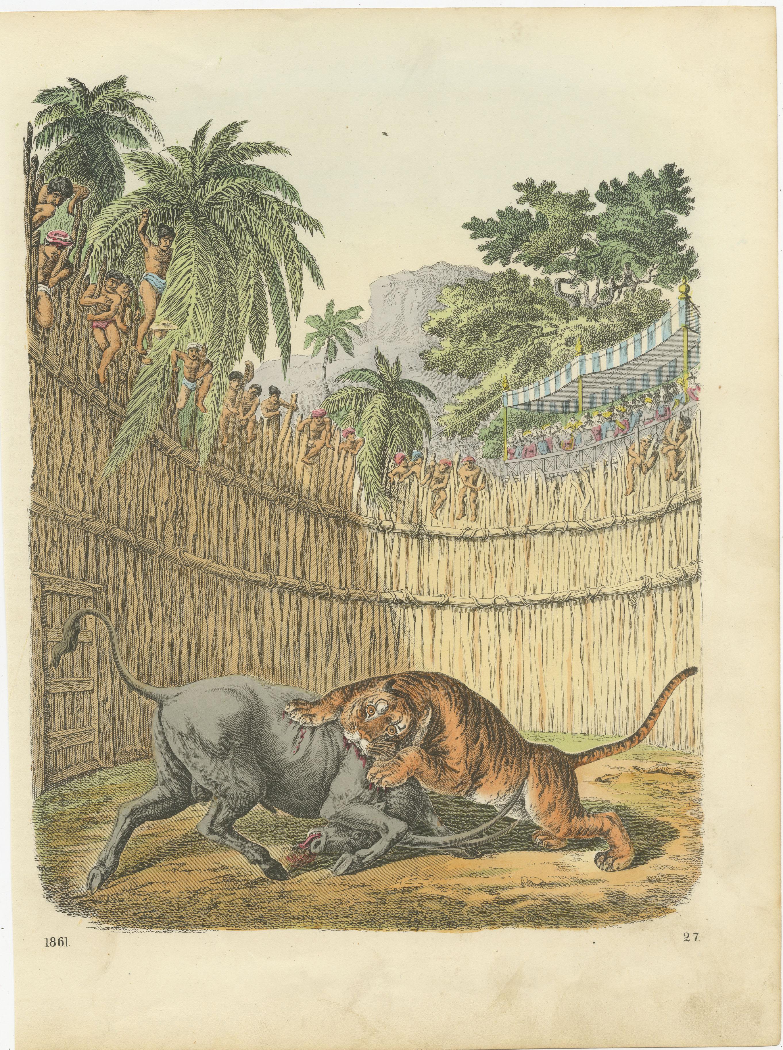 Original antique lithograph of a fight between a tiger and an antelope. Published circa 1861.