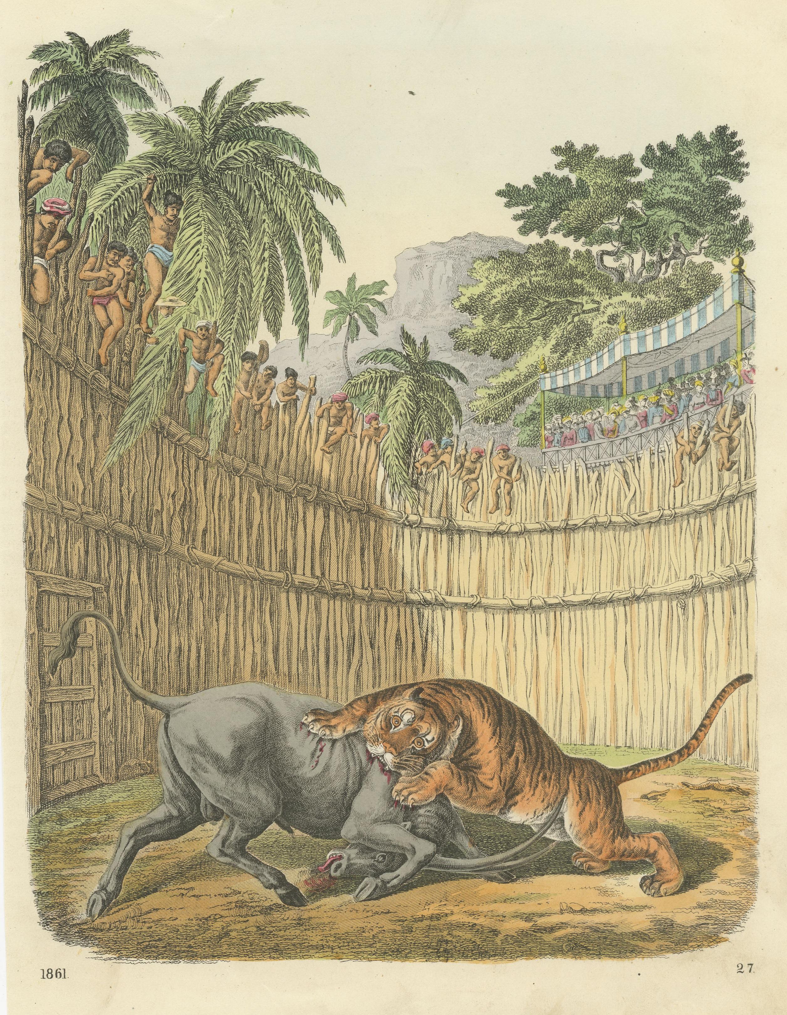 Original Antique Print of a Fight Between a Tiger and Antelope In Fair Condition For Sale In Langweer, NL