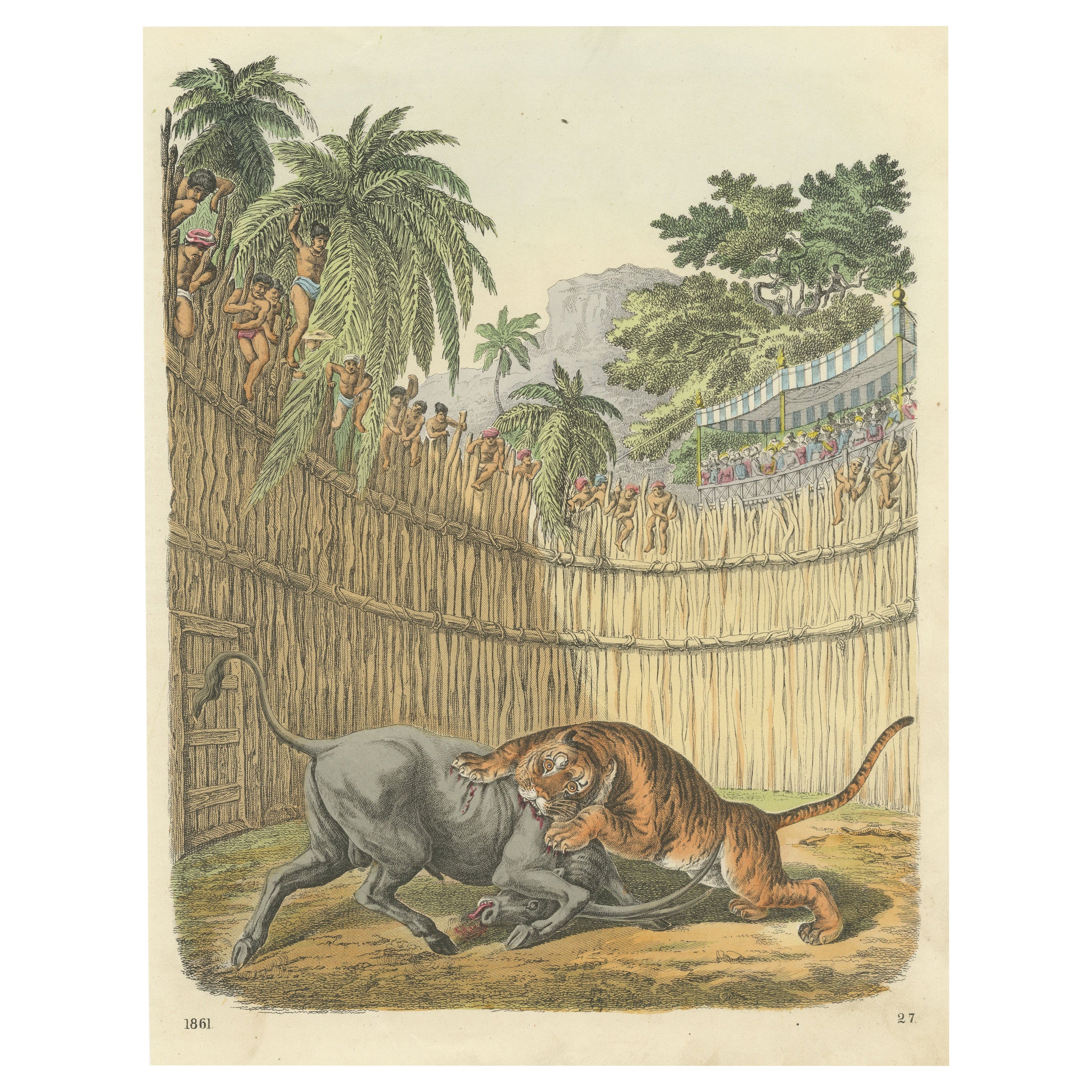 Grabado original antiguo de una lucha entre un tigre y un antílope