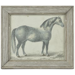 Original Antique Print of a Gray Horse, 1847