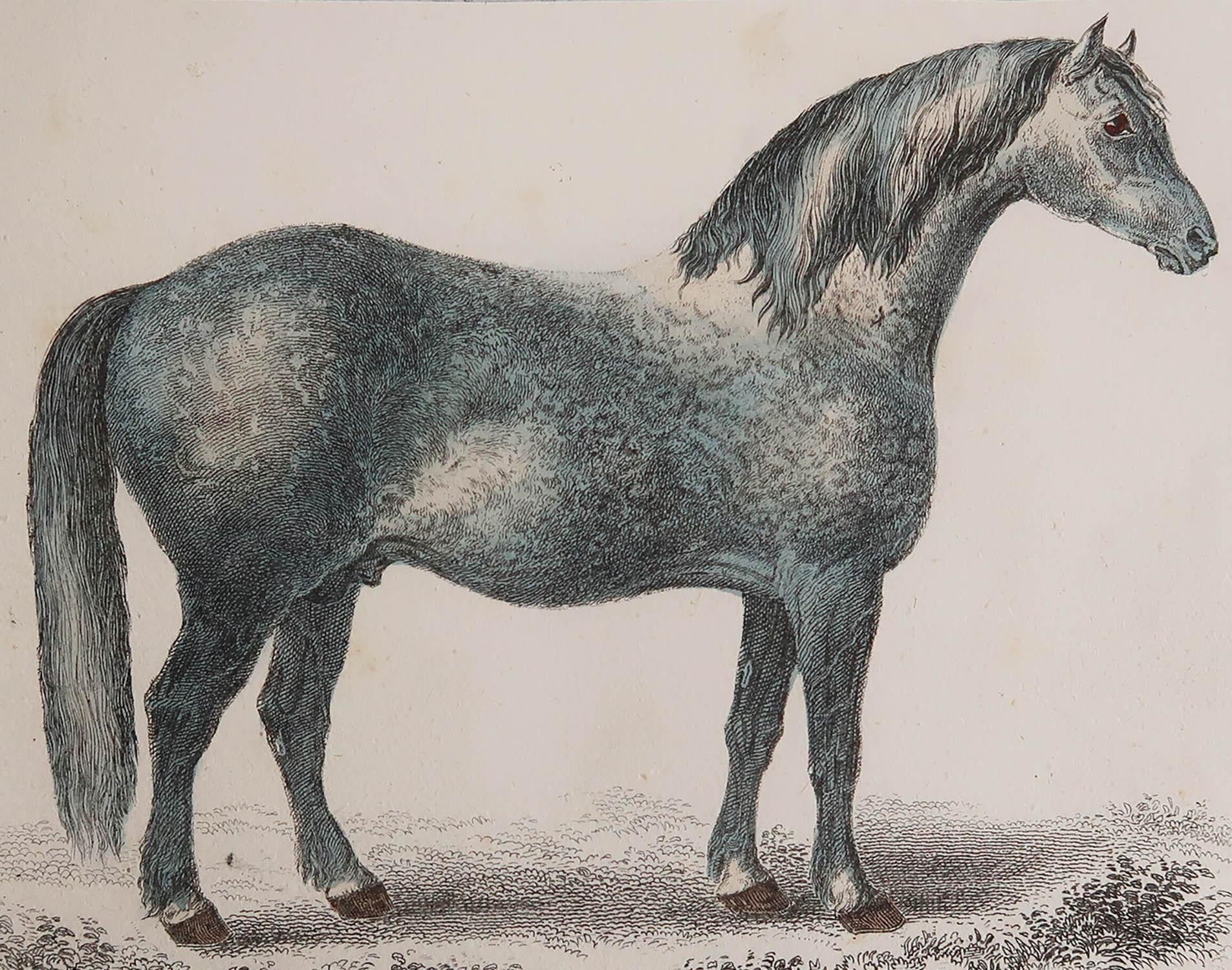 Great image of a grey horse

Unframed. It gives you the option of perhaps making a set up using your own choice of frames.

Lithograph after George Stubbs with original hand color.

Published 1847.

Free shipping.




