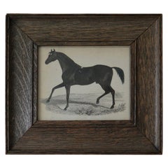 Original Antique Print of a Horse, 1847 Original Antique Print of a Horse, 1847