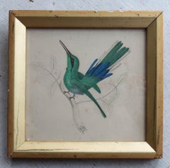Original Antique Print of a Hummingbird, 1847