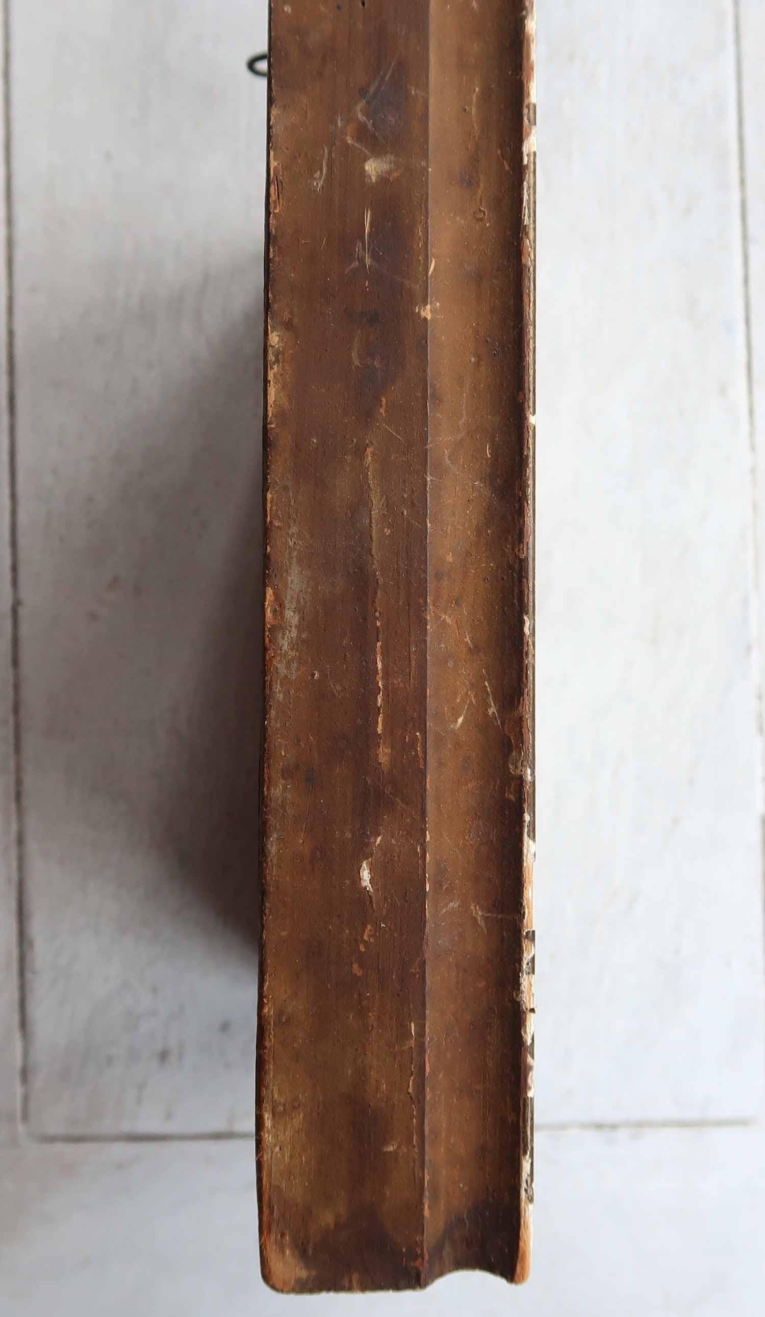 Doré Impression ancienne originale d'un coquillage, 1847 en vente