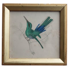 Original Antique Print of a Hummingbird, 1847