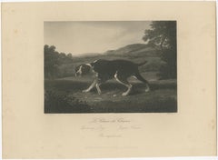 Impression originale et ancienne d'un chien de chasse