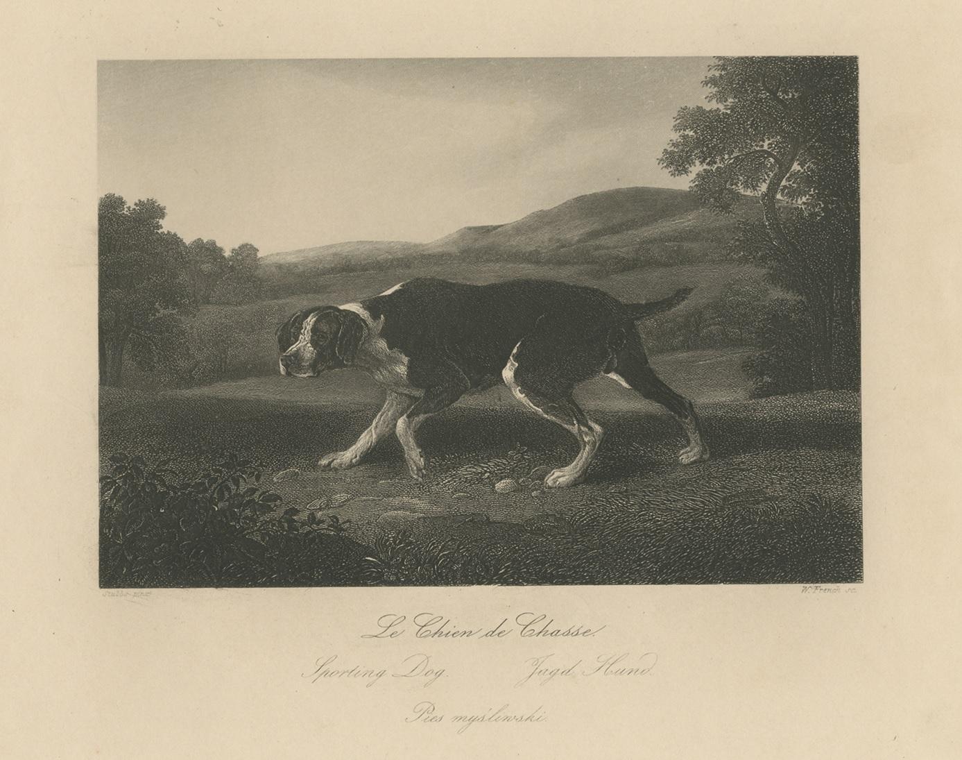 Original Antique Print of a Hunting Dog In Fair Condition For Sale In Langweer, NL