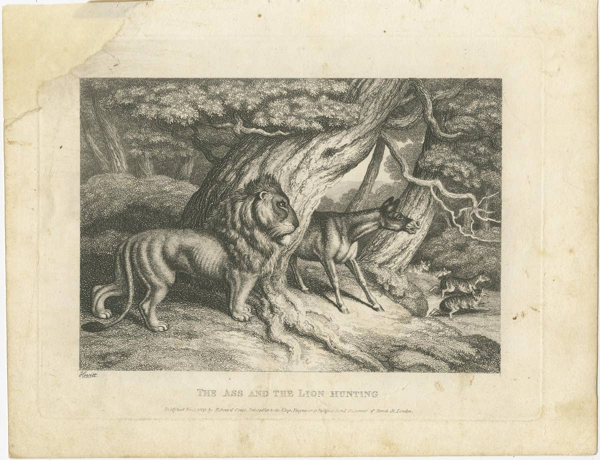 Original Antique Print of a Lion and Donkey hunting