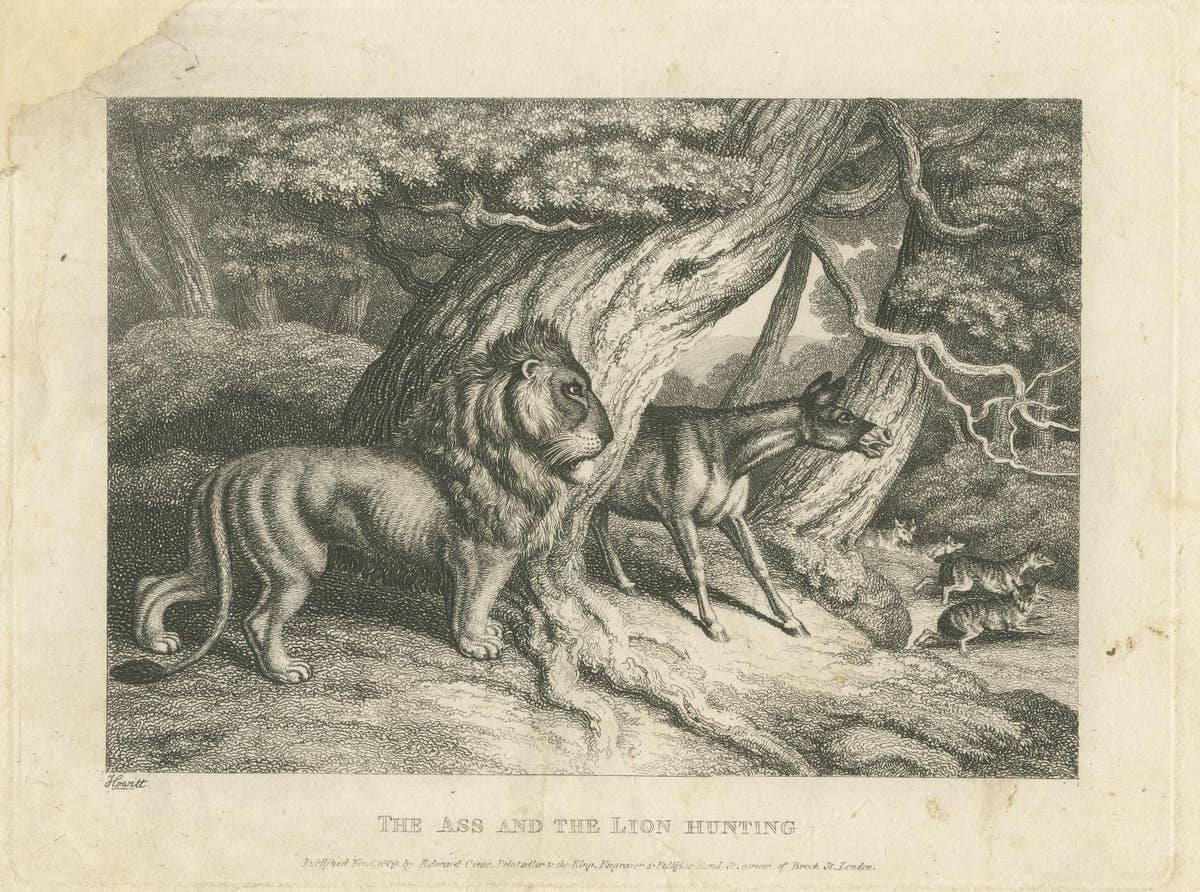 Original Antique Print of a Lion and Donkey hunting