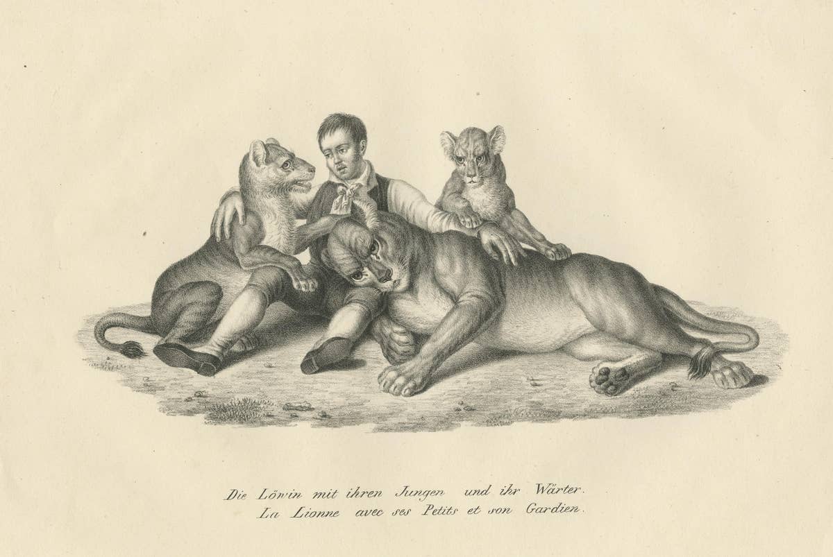 Original Antique Print of Lioness and Cubs with Her Trainer