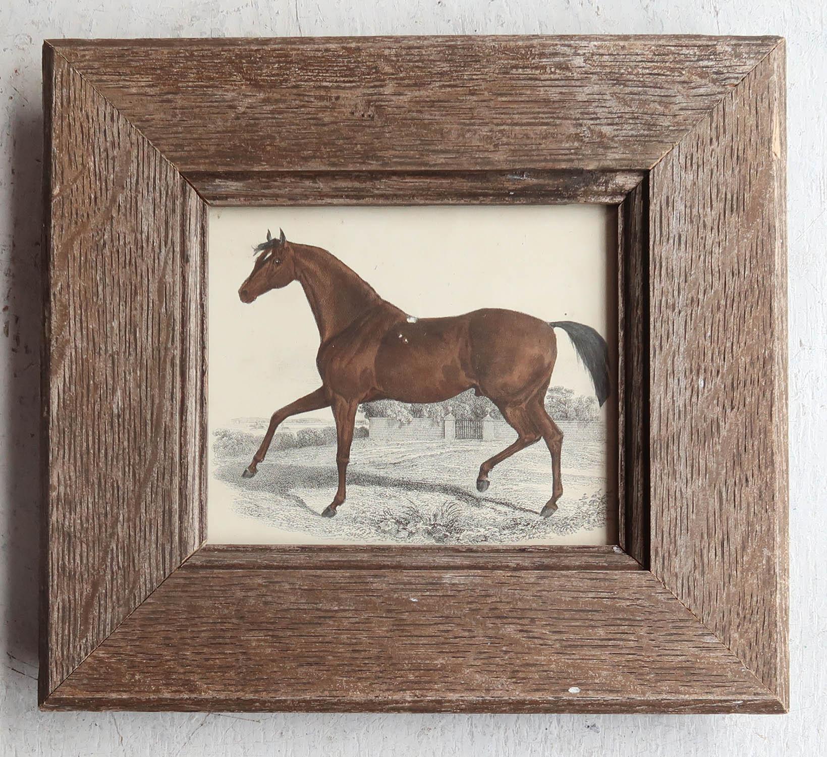 Great image of a racehorse presented in a distressed antique oak frame

Lithograph after George Stubbs with original hand color.

Published, 1847.




