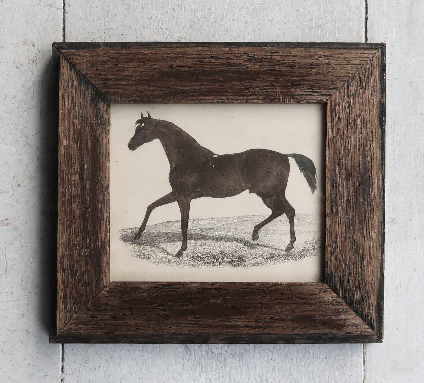 Great image of a racehorse presented in an antique oak frame

Lithograph after George Stubbs with original hand color.

Published, 1847.

Free UK shipping




