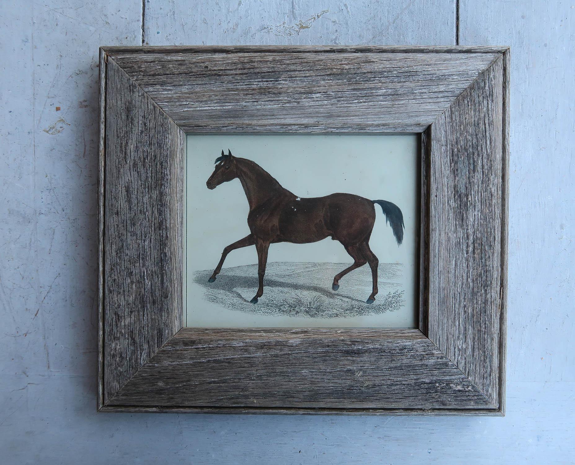 Gran imagen de un caballo de carreras presentada en un marco de roble antiguo

Litografía según George Stubbs con color original a mano.

Publicado, 1847.

Envío gratuito al Reino Unido

El envío cuesta 30 $ a EE.UU.






