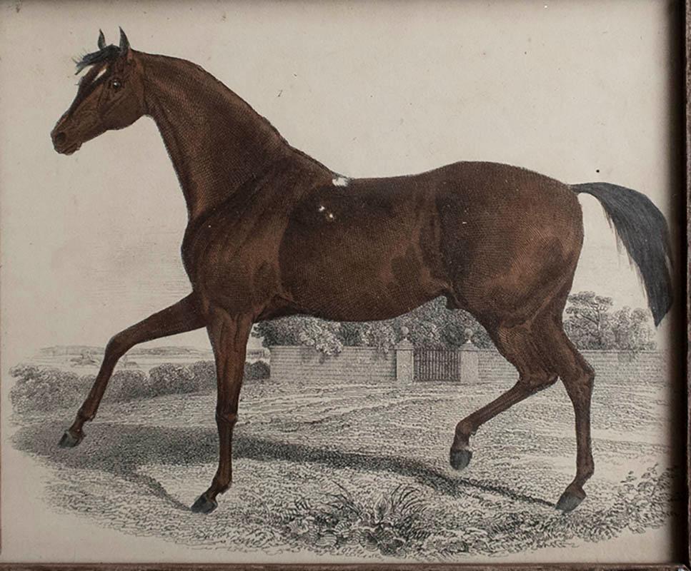 Folk Art Original Antique Print of a Racehorse, 1847