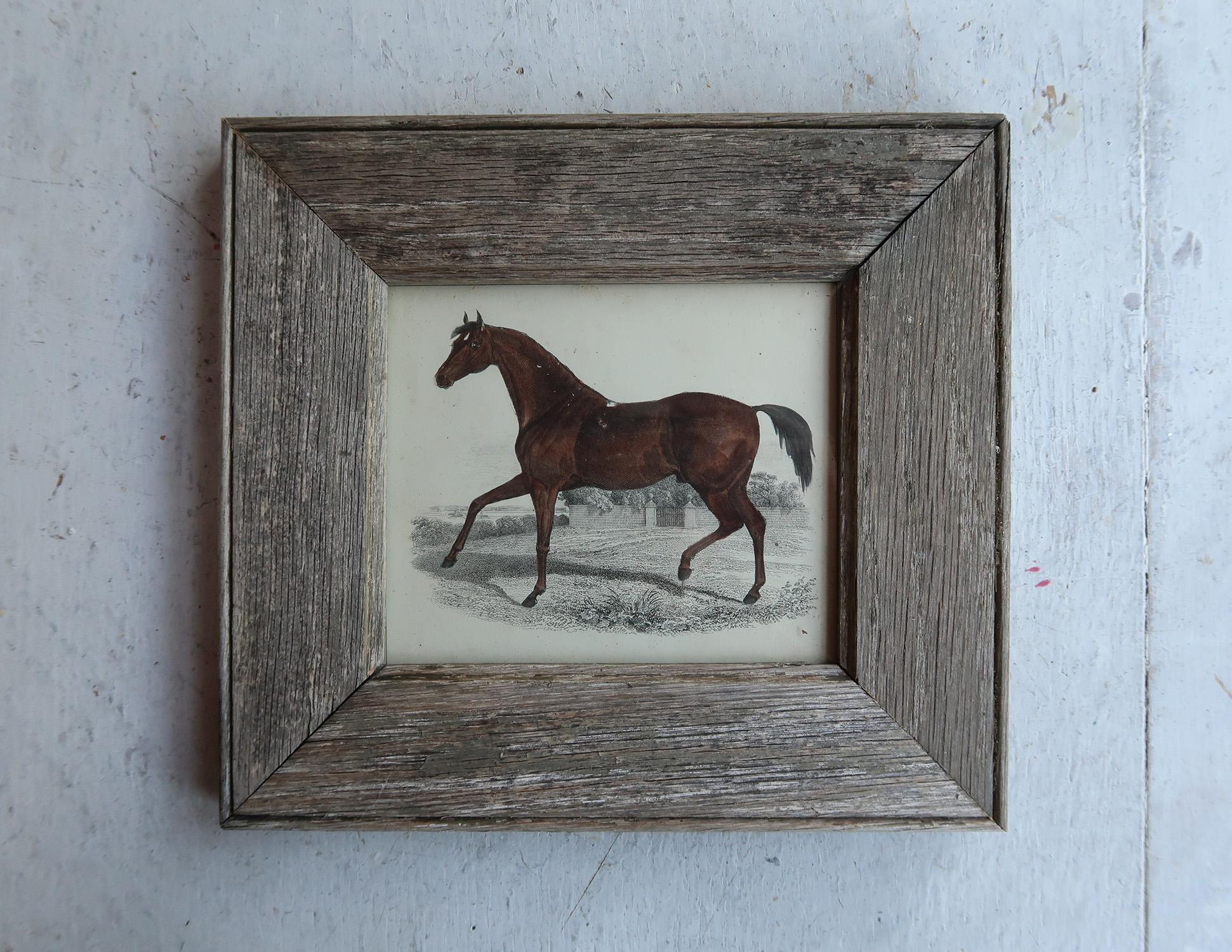 Artisanat Impression originale et ancienne d'un cheval de course, 1847 en vente