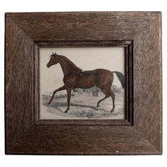 Stampa antica originale di un cavallo da corsa, 1847