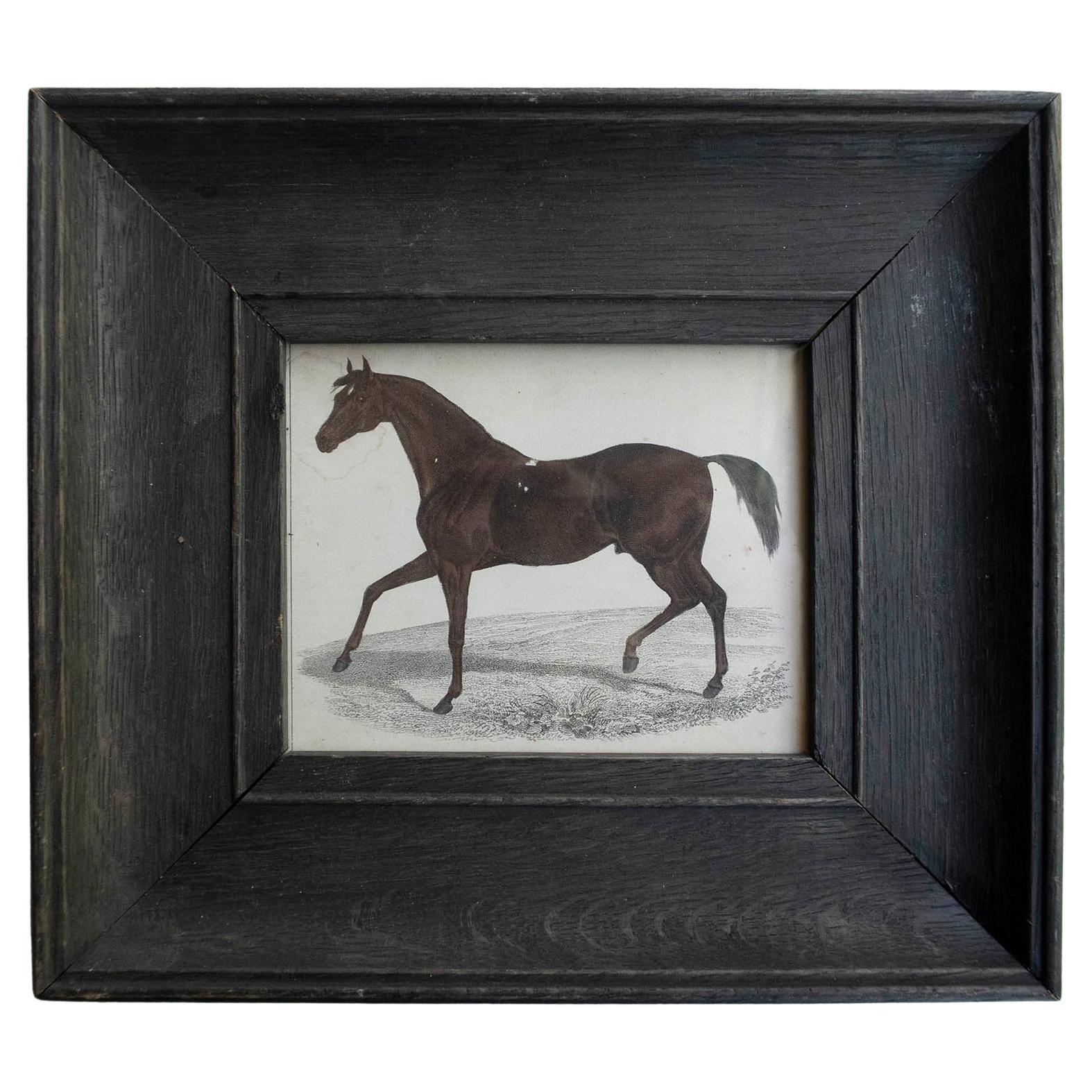 Original Antique Print of a Racehorse, 1847