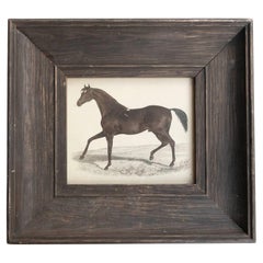 Grabado original antiguo de un caballo de carreras, 1847