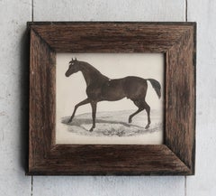 Original Antique Print of a Racehorse, 1847