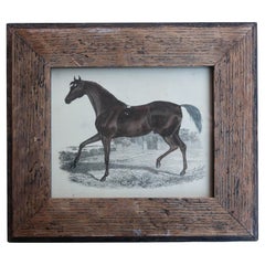 Stampa antica originale di un cavallo da corsa, 1847