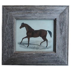 Grabado original antiguo de un caballo de carreras, 1847