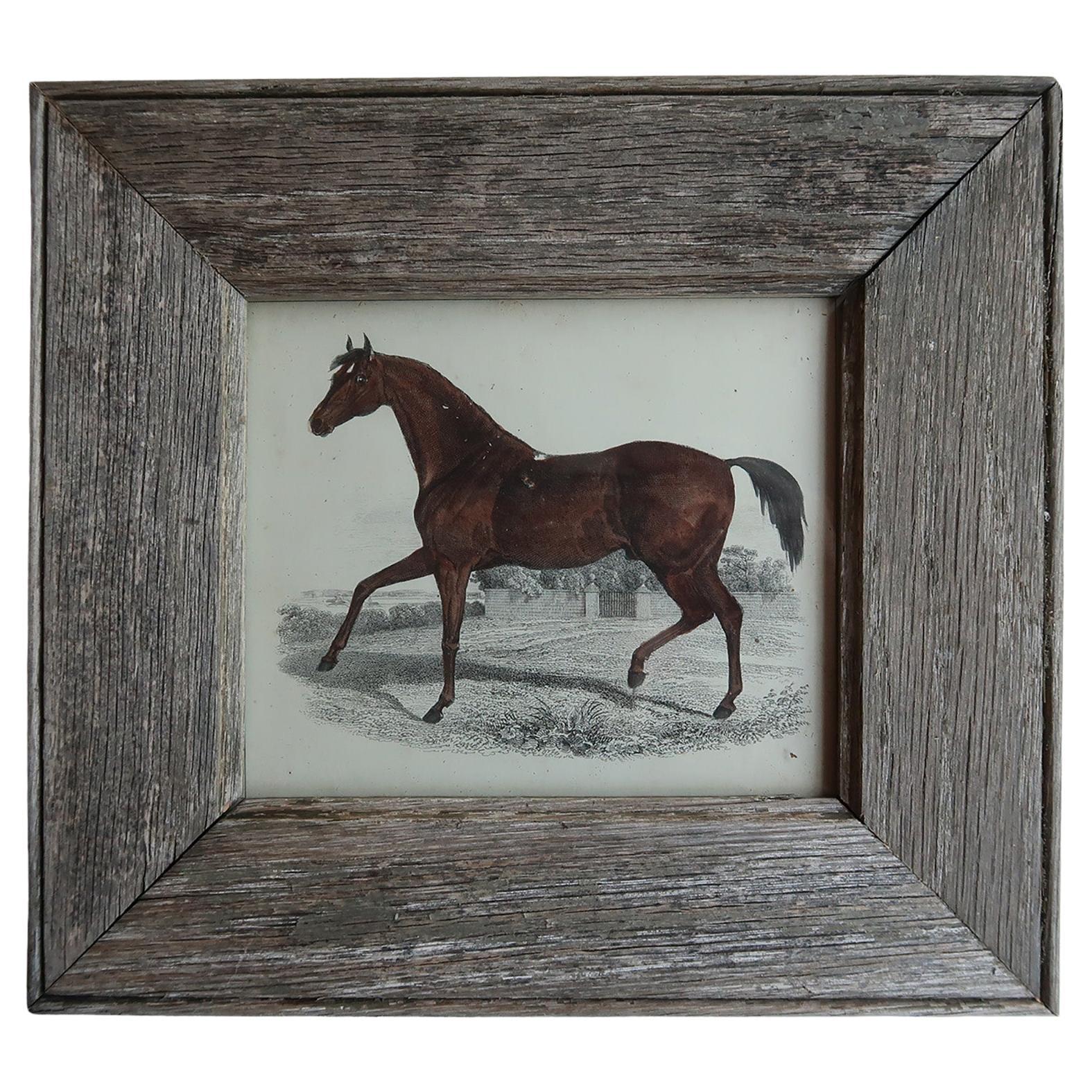 Original Antiker Druck eines Rennpferdes, 1847
