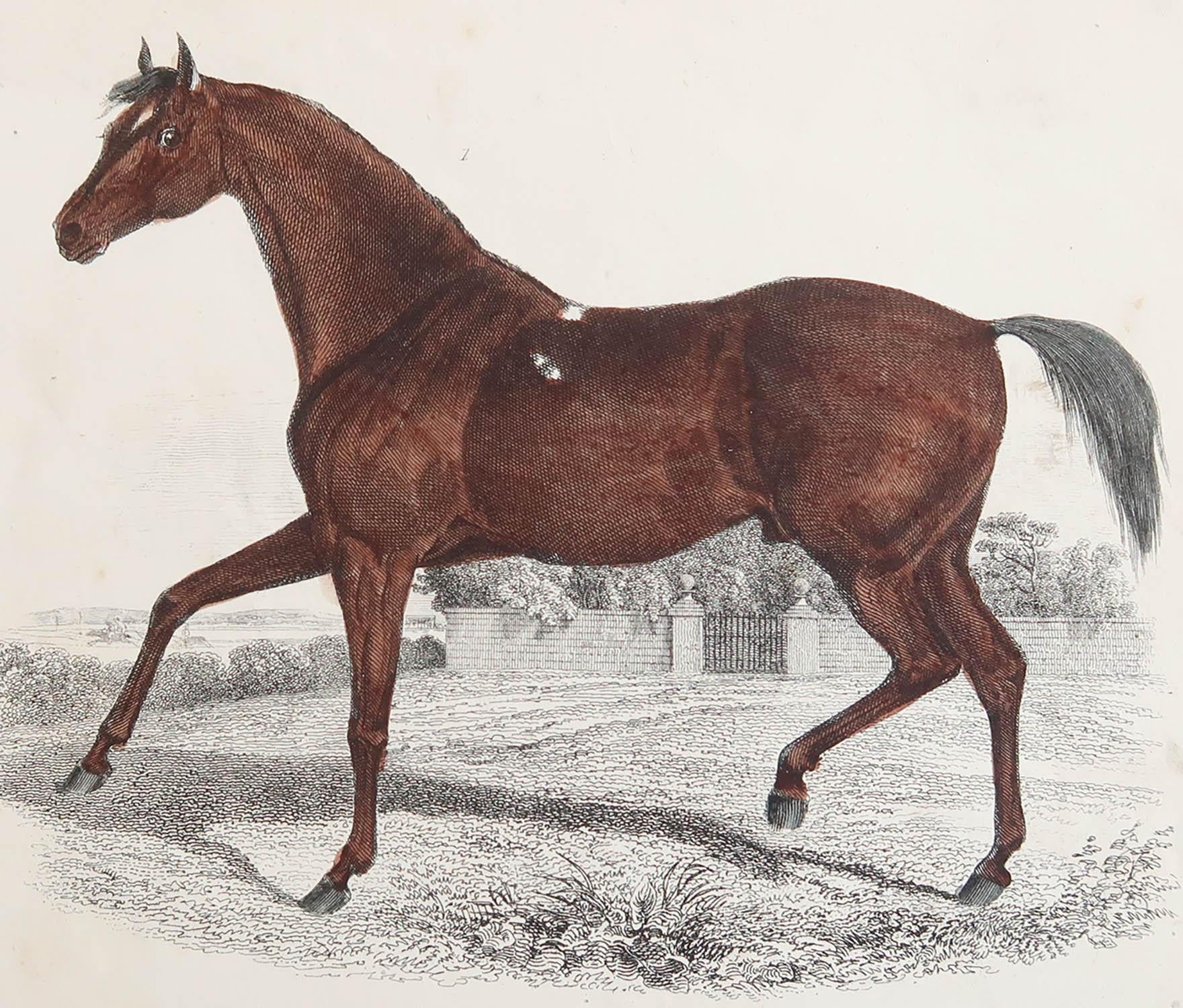 Belle image d'un cheval de course.

Non encadré. Il vous donne la possibilité de réaliser un montage en utilisant les cadres de votre choix.

Lithographie d'après George Stubbs avec couleurs originales à la main.

Publié en 1847.

Expédition