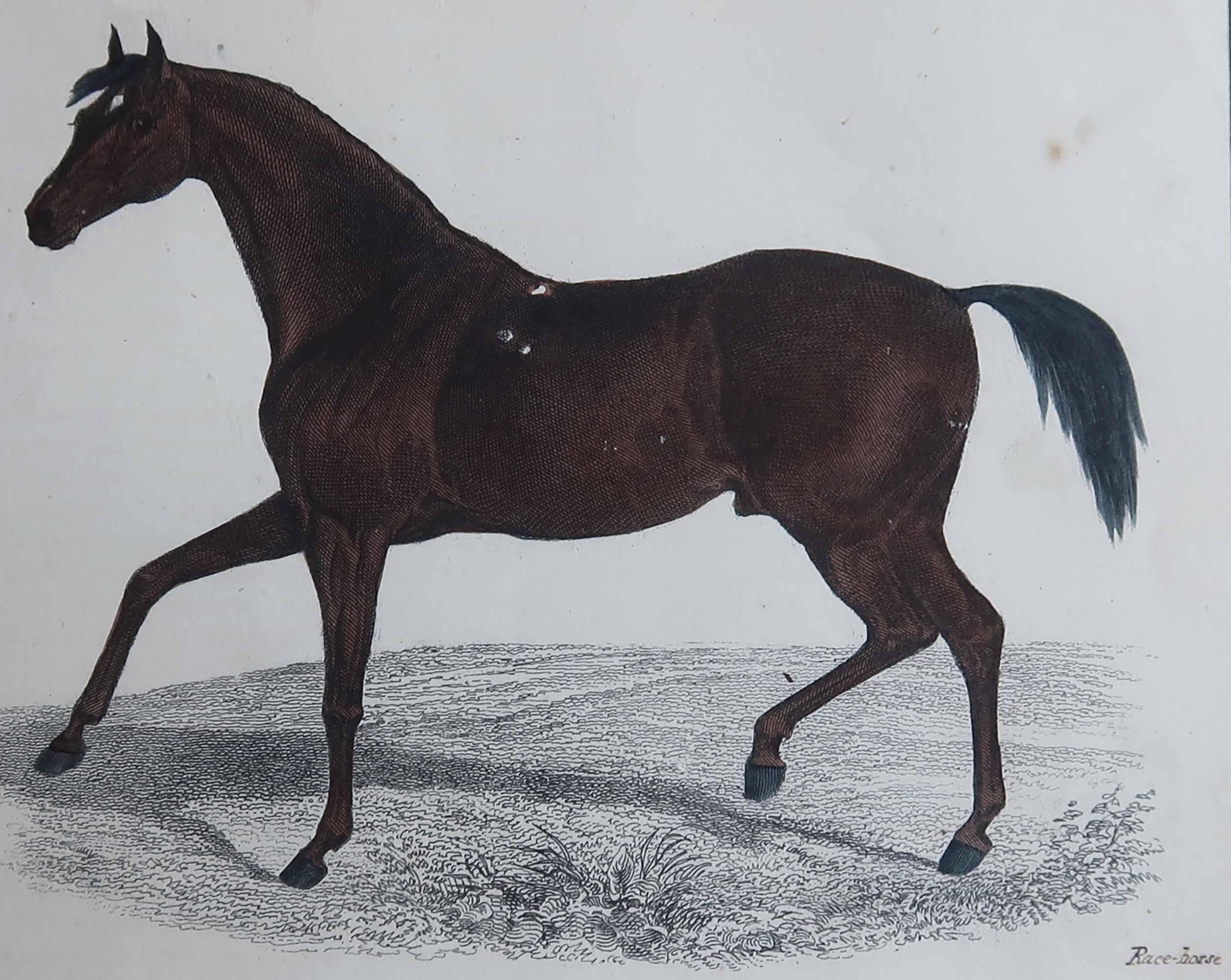 Belle image d'un cheval de course.

Non encadré. Il vous donne la possibilité de réaliser un montage en utilisant les cadres de votre choix.

Lithographie d'après George Stubbs avec couleurs originales à la main.

Publié en 1847.

Expédition