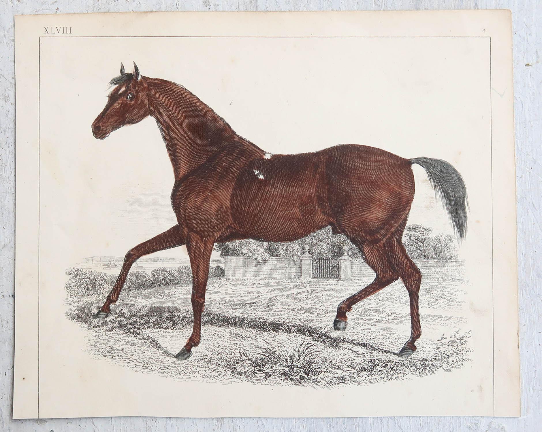 Artisanat Impression originale et ancienne d'un cheval de course, 1847, non encadrée en vente